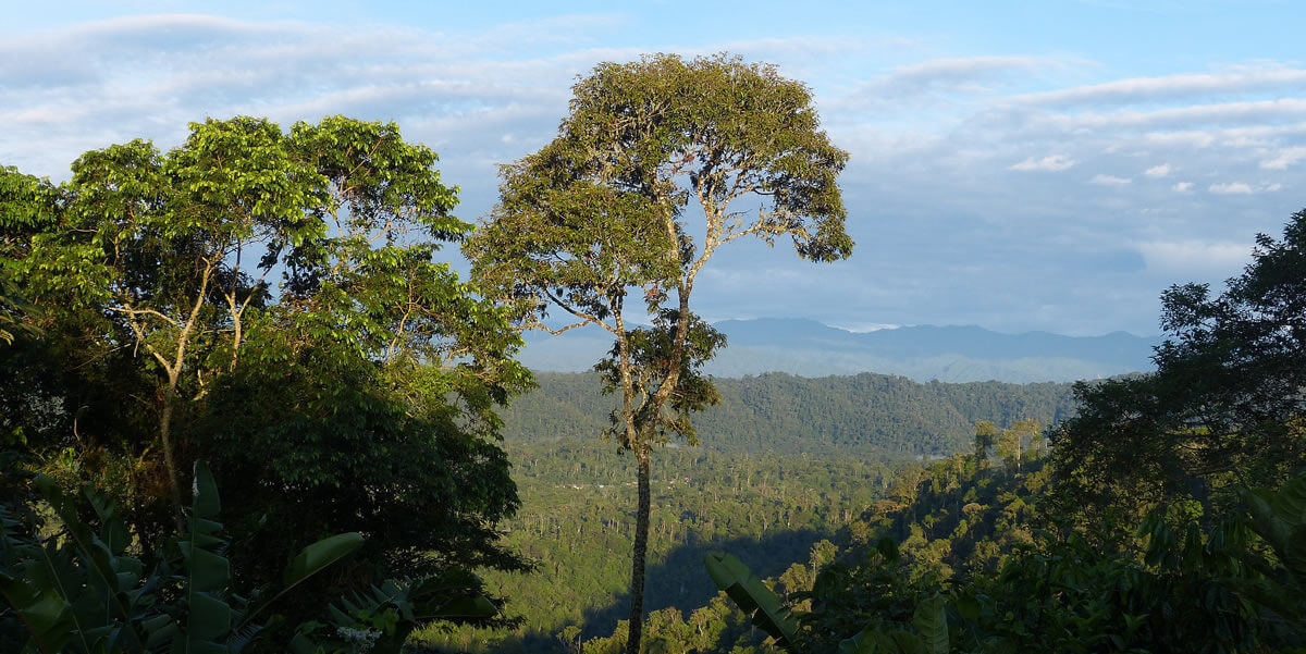 Sumaco NapoGaleras National Park & Reserve LAC Geo